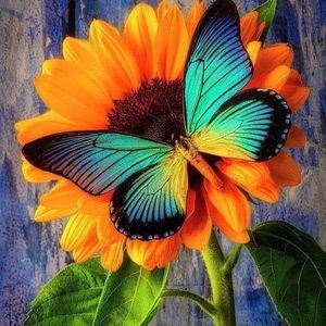 Meet your Posher, Leeann